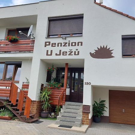 Penzion U Jezu - Ubytovani Pasohlávky エクステリア 写真