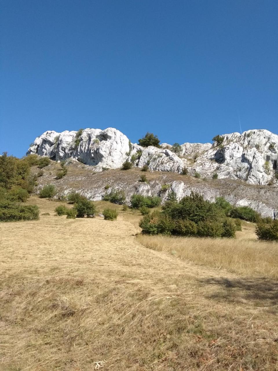 Penzion U Jezu - Ubytovani Pasohlávky エクステリア 写真